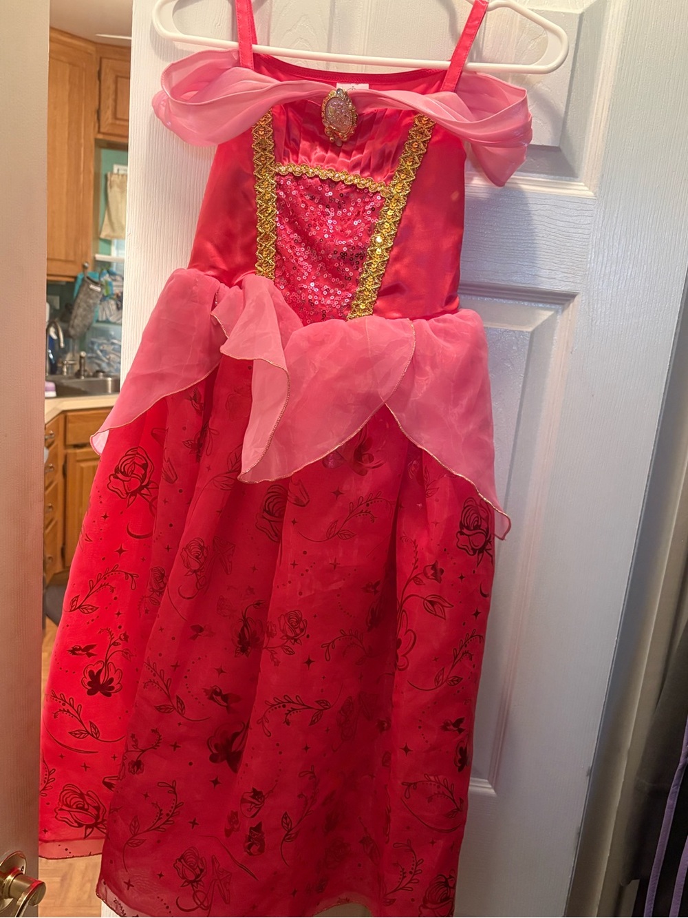 Aurora costume size 7/8